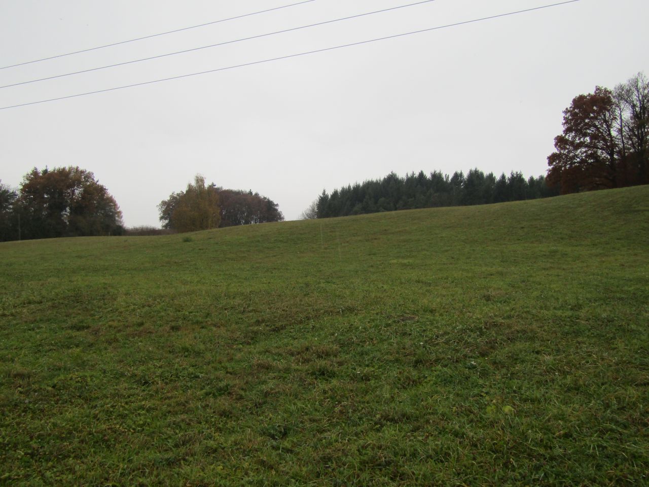 Büsingen am Hochrhein: VERKAUFT!! 3090m² Landwirtschaftsfläche in Büsingen zu verkaufen!!  Büsingen am Hochrhein: VERKAUFT!! 3090m² Landwirtschaftsfläche in Büsingen zu verkaufen!!