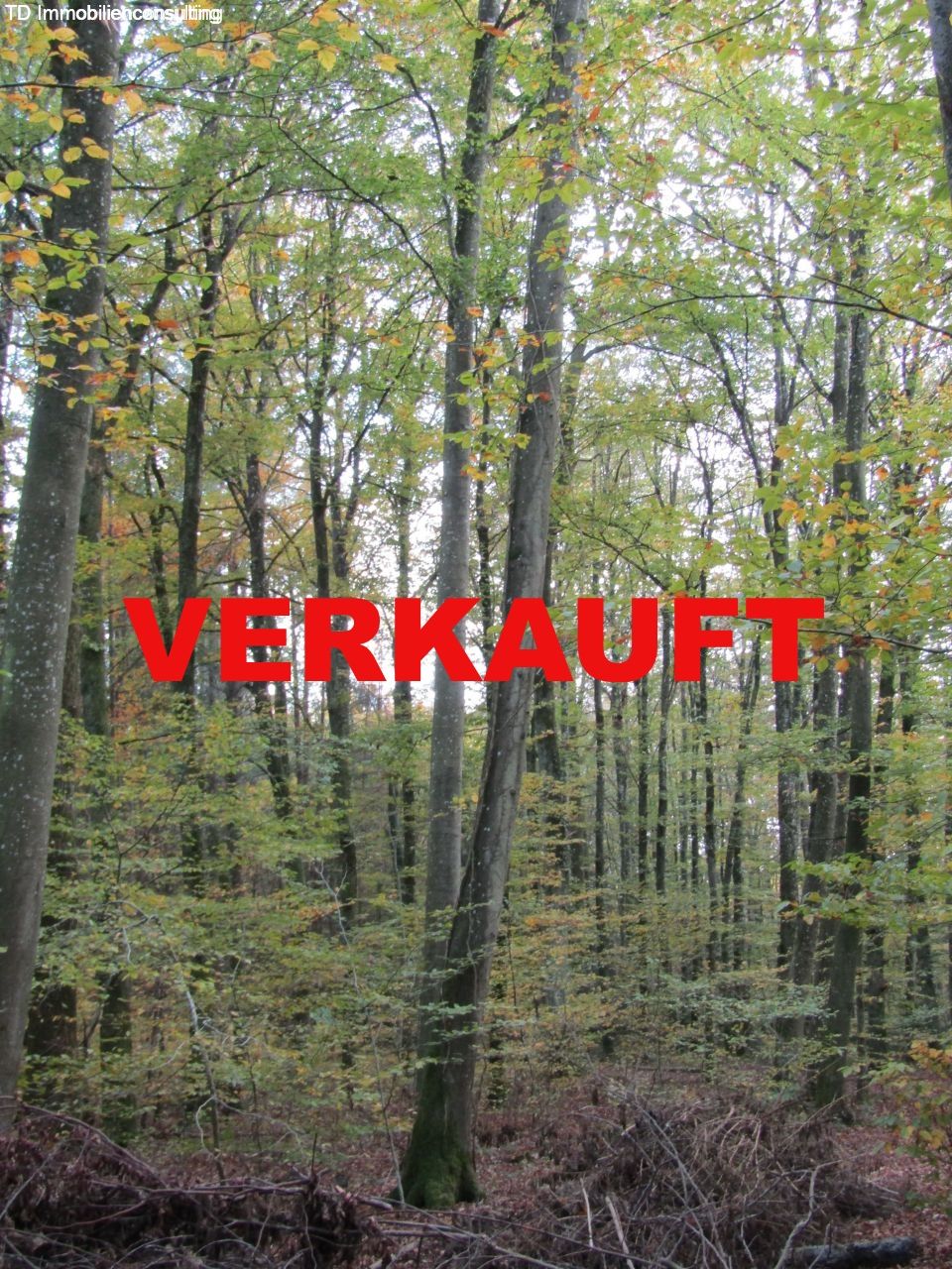 Büsingen am Hochrhein: **VERKAUFT**Waldgrundstück im Rheinhölzle von Büsingen zu verkaufen**  Büsingen am Hochrhein: **VERKAUFT**Waldgrundstück im Rheinhölzle von Büsingen zu verkaufen**