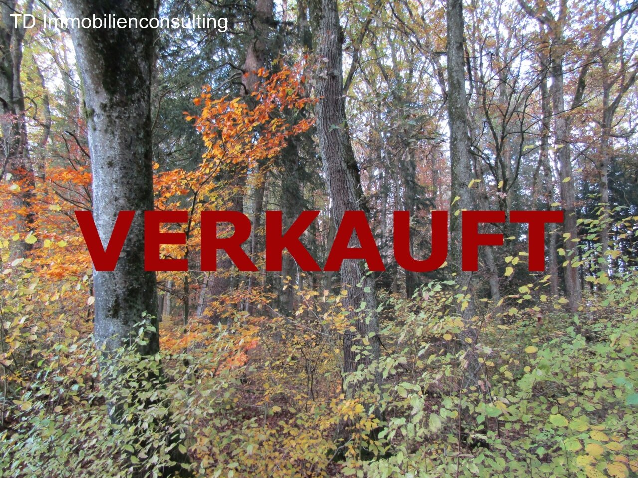 Büsingen am Hochrhein: **VERKAUFT** 5889 qm WALDGRUND in BÜSINGEN **  Büsingen am Hochrhein: **VERKAUFT** 5889 qm WALDGRUND in BÜSINGEN **