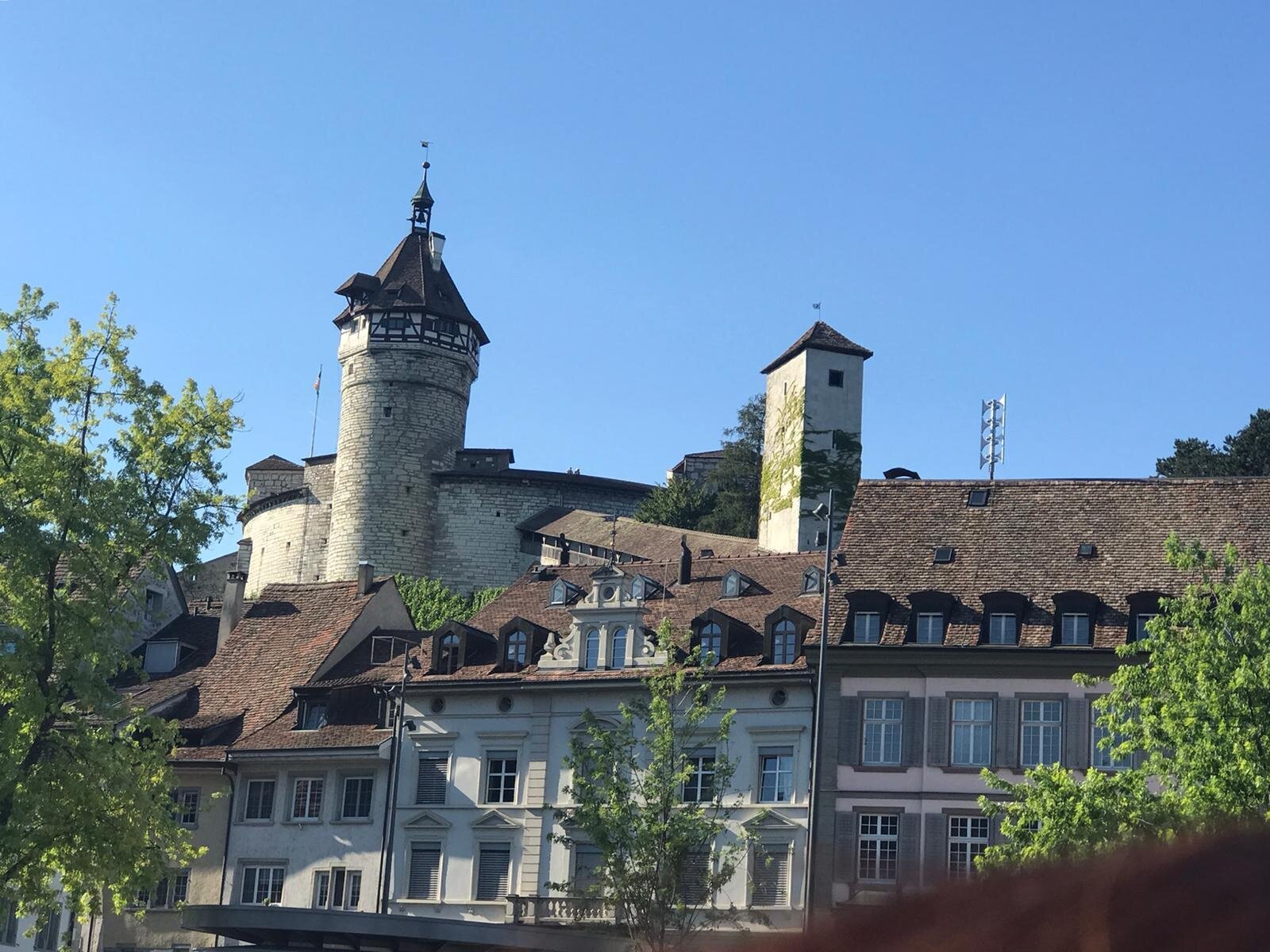 Schaffhausens Wahrzeichen liegt um die Ecke