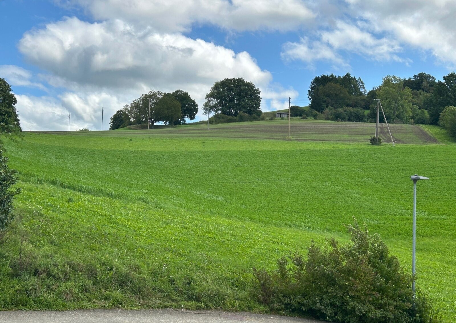 Der Blick von der Haustür aus