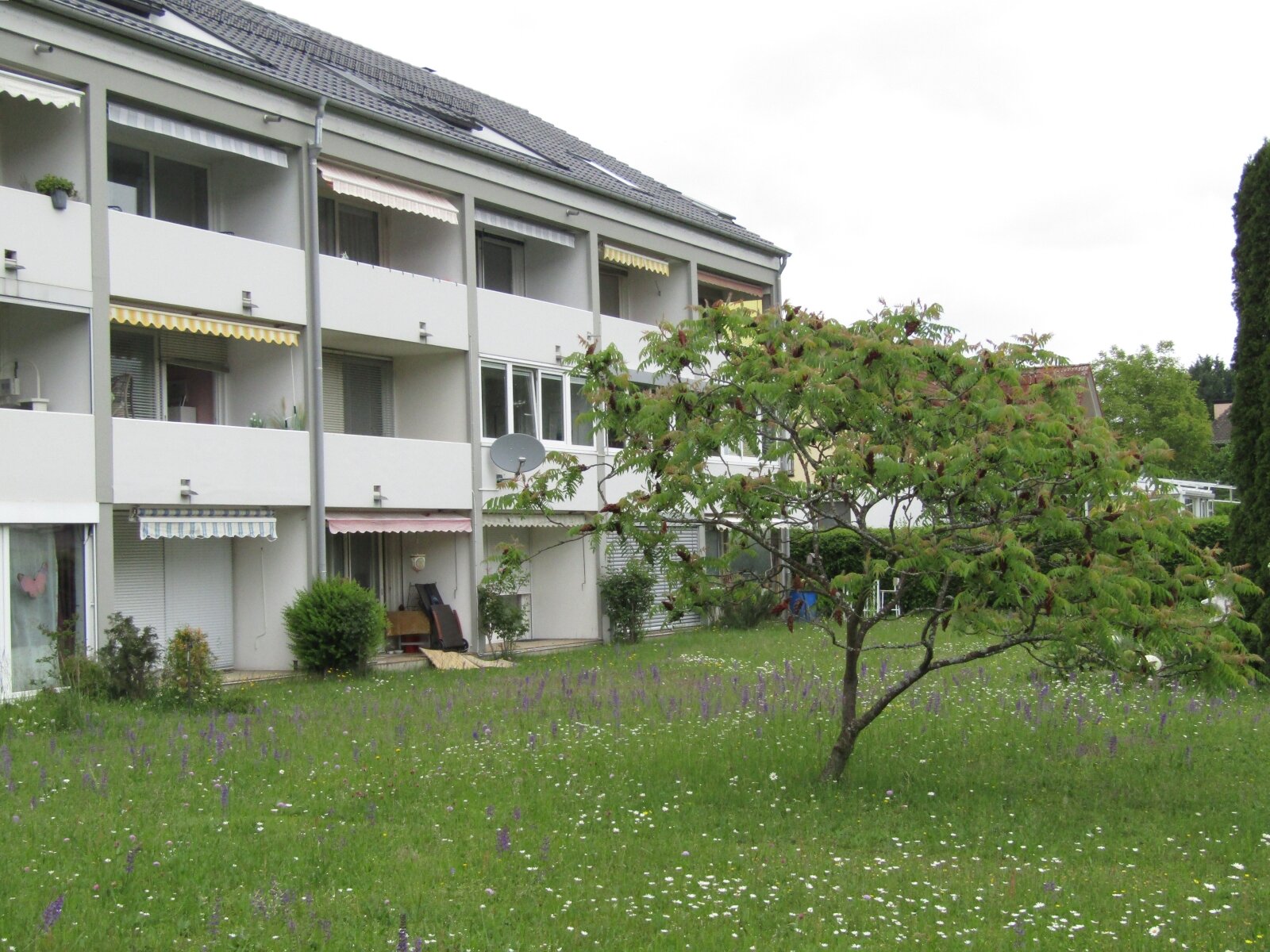 Von der Terrrasse aus ins Grüne! Von der Terrrasse aus ins Grüne!