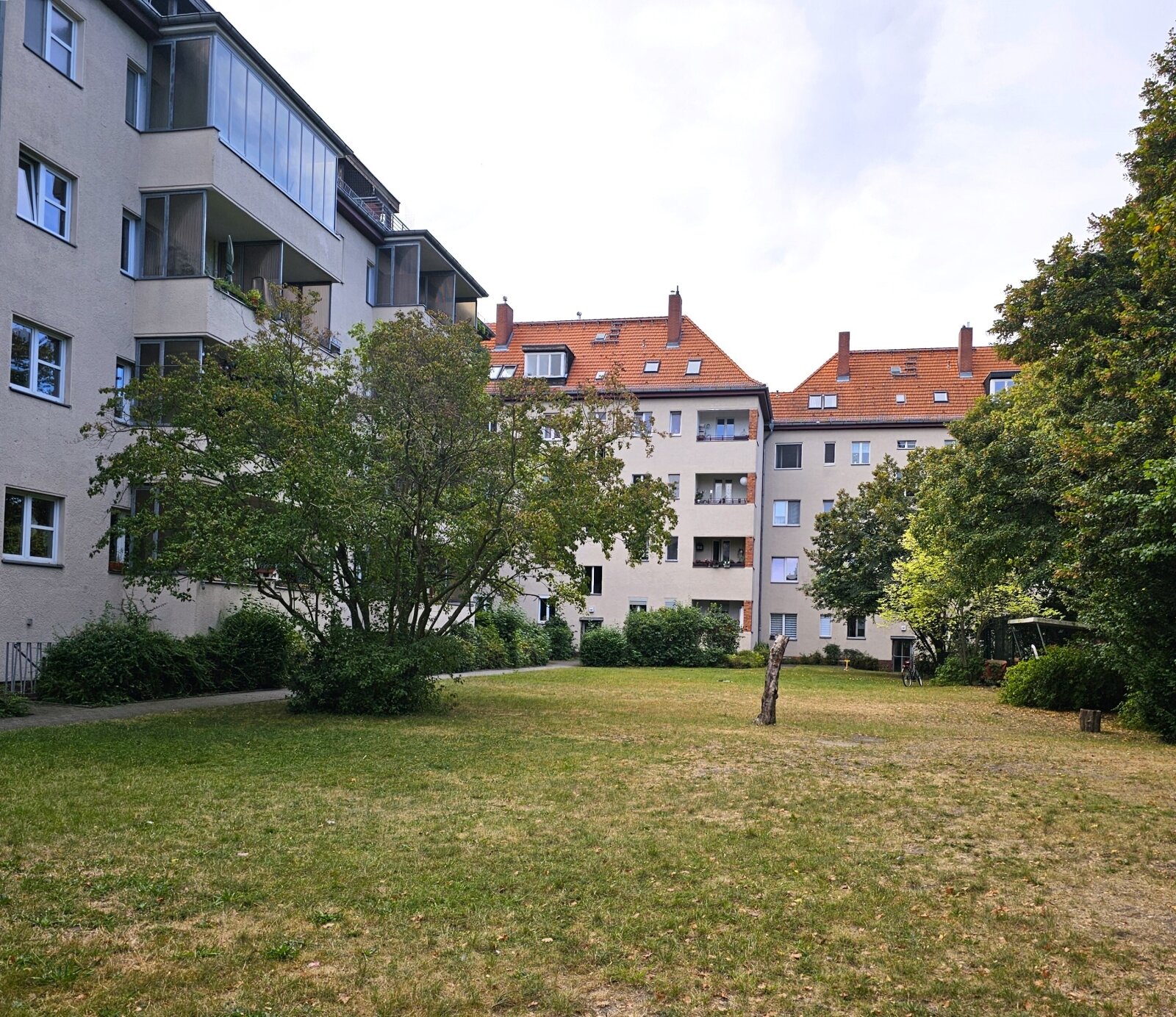 Grünes Berlin im Hinterhof Grünes Berlin im Hinterhof