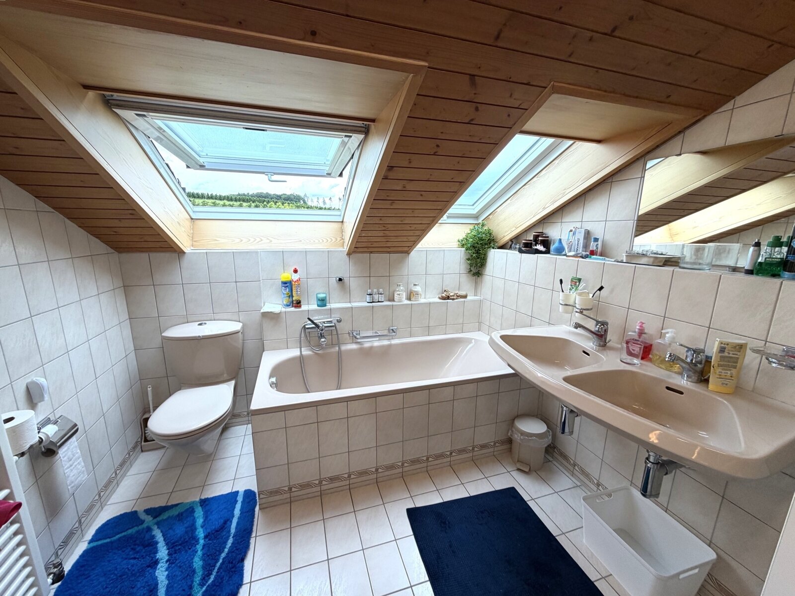XXl Tageslichtbad mit Wanne und Dusche XXl Tageslichtbad mit Wanne und Dusche