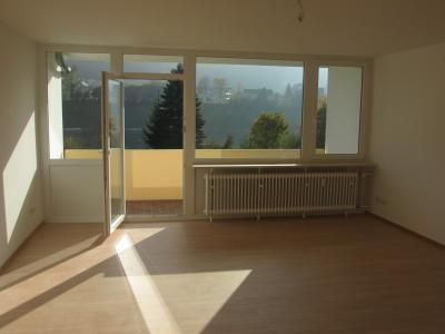 Büsingen: **VERKAUFT**Hochwertig sanierte 1 Zimmer ETW mit Balkon und Rheinblick**  Büsingen: **VERKAUFT**Hochwertig sanierte 1 Zimmer ETW mit Balkon und Rheinblick**